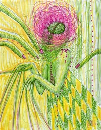 prickly - 2021, 14x11”, alcohol and water based marker on mixed media paper